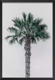 Coconut palm - tableau feuillage exotique