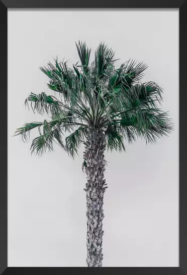 Coconut palm - tableau feuillage exotique