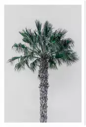 Coconut palm - tableau feuillage exotique
