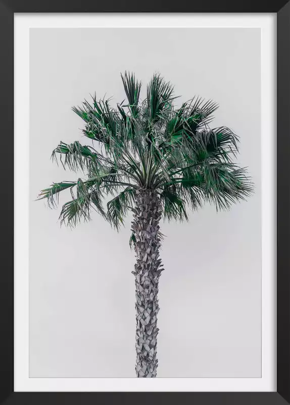 Coconut palm - tableau feuillage exotique