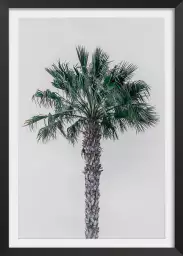 Coconut palm - tableau feuillage exotique