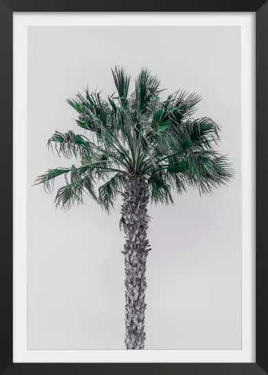 Coconut palm - tableau feuillage exotique