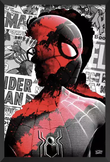 Spiderman - street art tableau