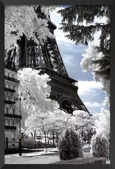 Au pied de mon arbre... Paris - affiches paris