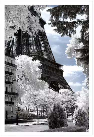 Au pied de mon arbre... Paris - affiches paris