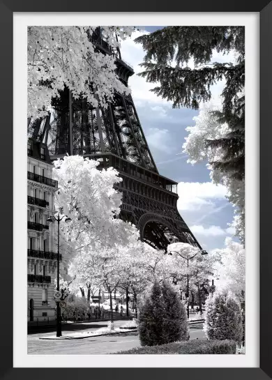 Au pied de mon arbre... Paris - affiches paris