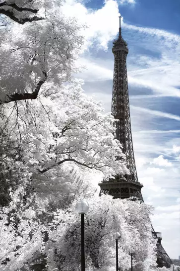 Au détour d'un arbre ... La Dame de Fer - affiches paris