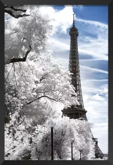 Au détour d'un arbre ... La Dame de Fer - affiches paris