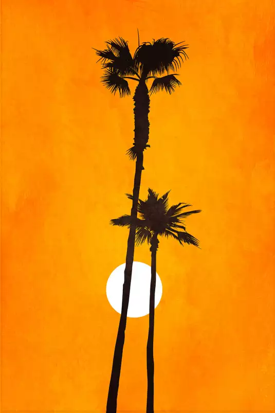 Sunset palm - poster palmier