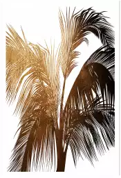 Palme de bronze - poster palmier