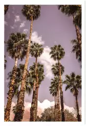 Sous le vent - affiche palmier