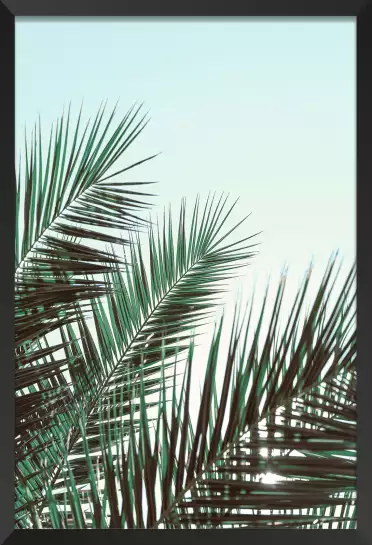 Palme verte - affiche feuille de palmier
