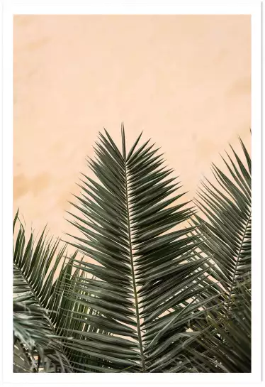 Sandy palme - affiche feuille de palmier