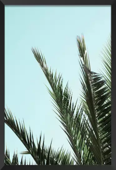Palme bleue - affiche feuille de palmier