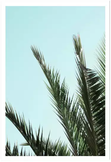 Palme bleue - affiche feuille de palmier