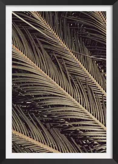 Palm island - affiche feuille de palmier