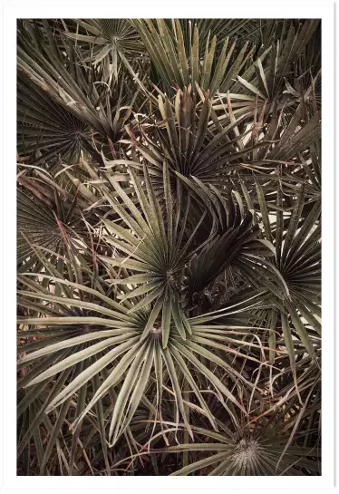 Tropicana mood - affiche feuille de palmier