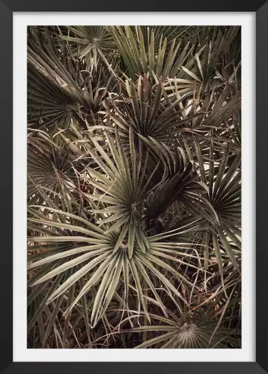 Tropicana mood - affiche feuille de palmier