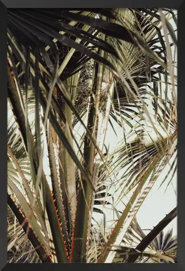 Cœur de palmier - affiche feuille de palmier