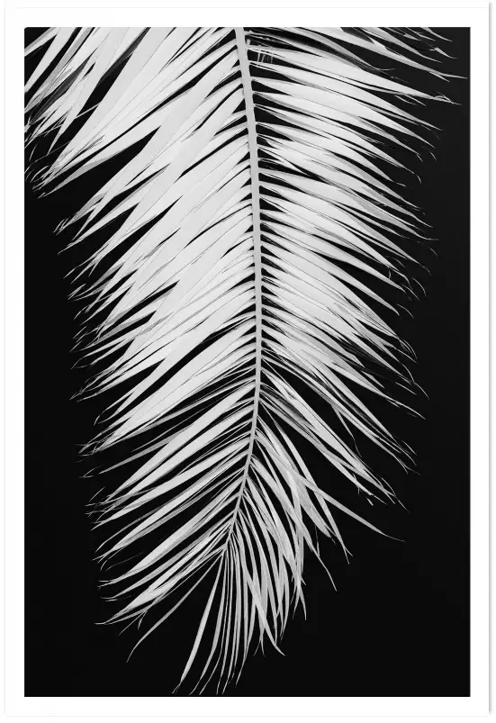 Palme X - affiche noir et blanc palmier