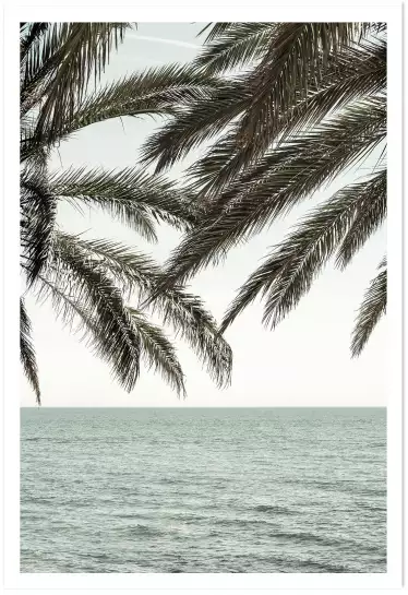 Plage tropicale secrète - affiche feuille de palmier