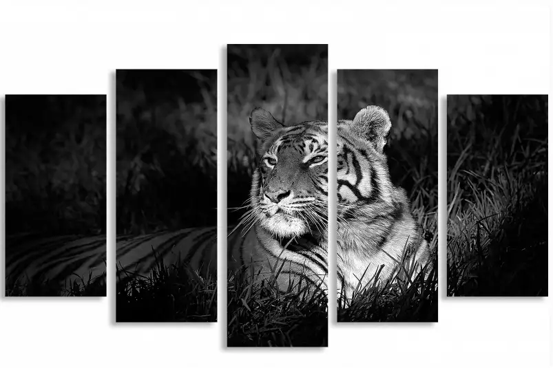 Elegance sauvage - poster tigres