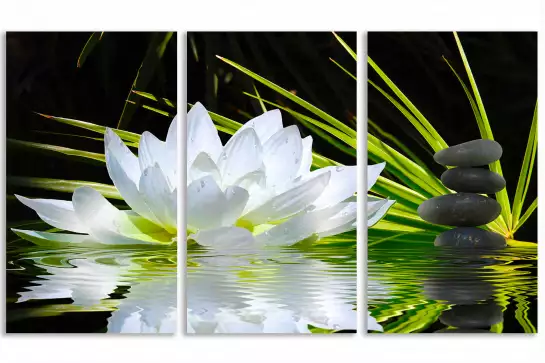 Fleur de lotus et galets - poster zen