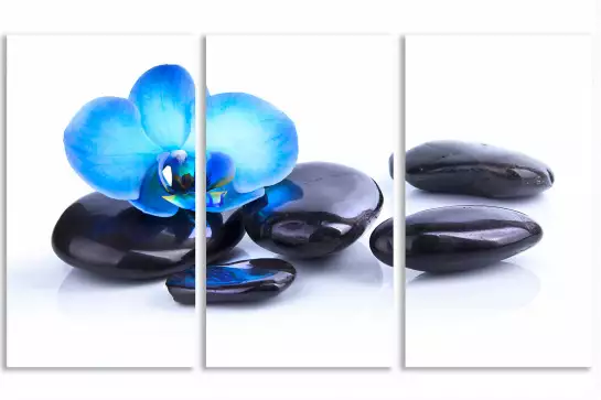 Orchidee bleue sur galets - tableau zen