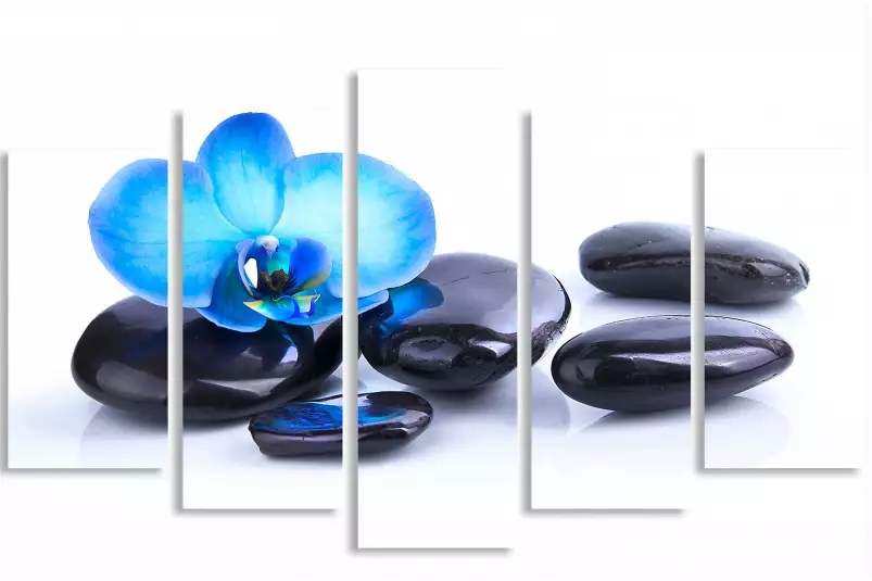 Orchidee bleue sur galets - tableau zen