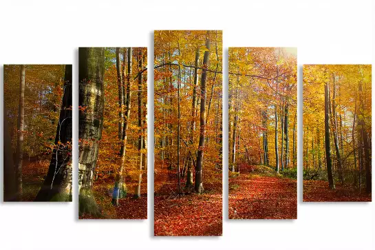 Foret au couleurs d'automne - affiche foret