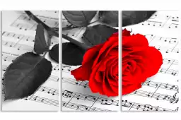 Rose et partitions musicales - affiche romantique