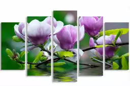 Magnolia - tableau fleurs Magnolia - tableau fleurs