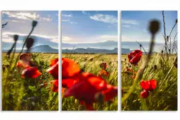 Les bardenas - tableau paysage nature