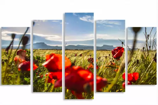 Les bardenas - tableau paysage nature