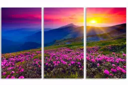 Coucher de soleil sur champ de fleurs - poster montagnes en été