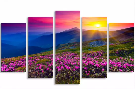 Coucher de soleil sur champ de fleurs - poster montagnes en été