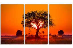 La savane - poster paysage