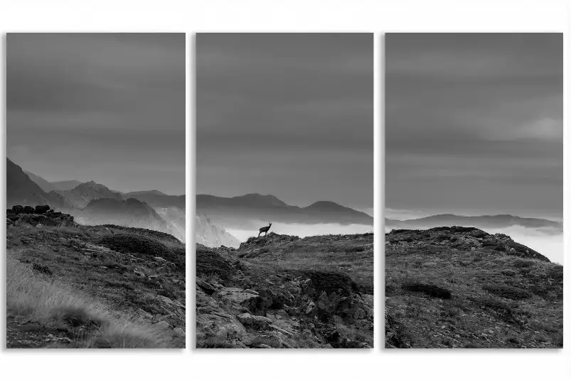 Chamois et mercantour - tableau paysage montagne