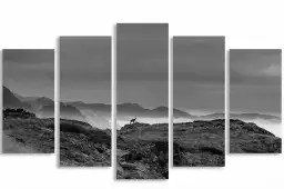 Chamois et mercantour - tableau paysage montagne