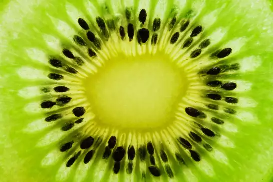 Kiwi - affiche fruits
