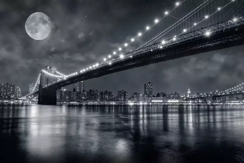 Brooklyn bridge - affiche new york