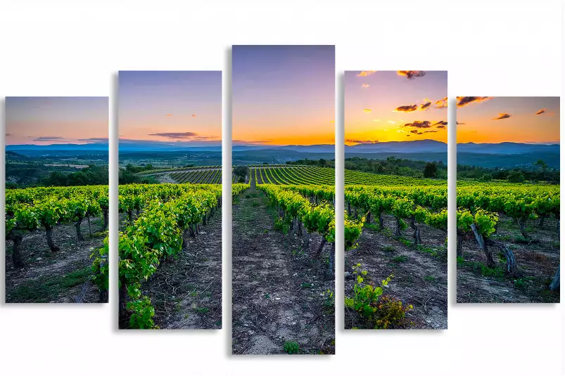 Vineyard - tableau paysage