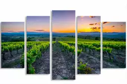 Vineyard - tableau paysage