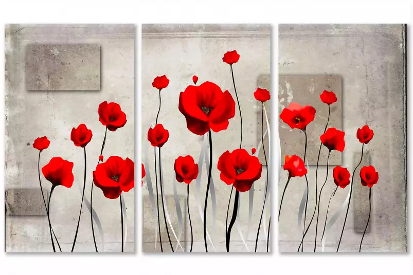 Coquelicots illustrés - tableau design