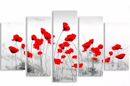 Coquelicots gris - tableau design