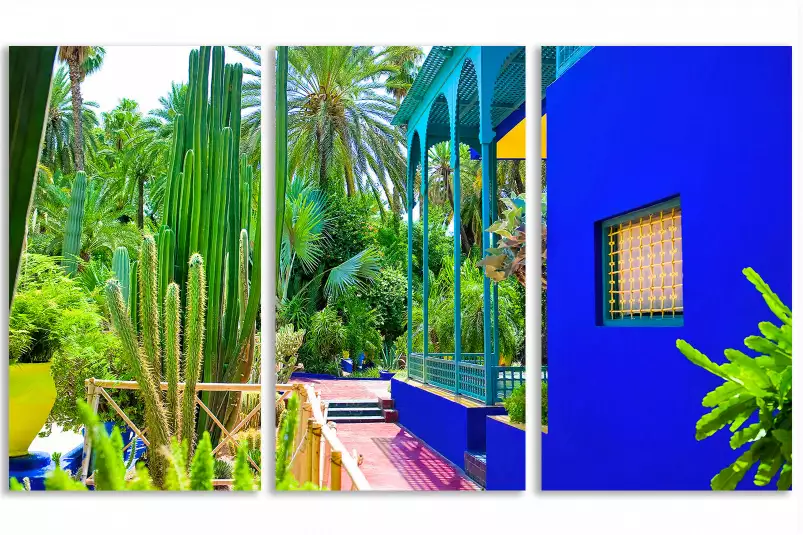 Jardin majorelle - poster cactus