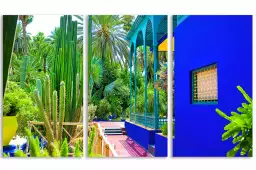 Jardin majorelle - poster cactus