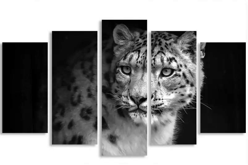 Le regard - portrait animaux