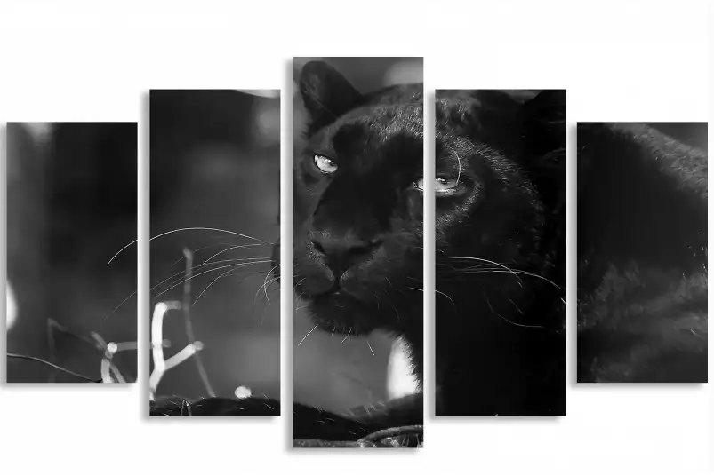 La panthère - portrait animaux