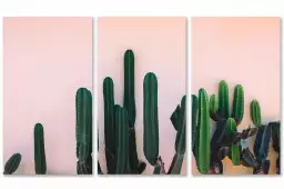 Mur de cactus - tableau cactus